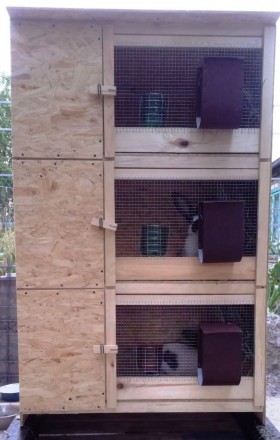 Клетки для содержания кроликов изготовлены из OSB, дерева, сварной сетки. Предна. . фото 8