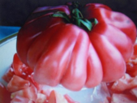 рассада элитных сортовых высокоурожайных томатов,огурцов и момордики по цене 25 . . фото 2