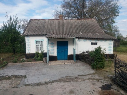 Продается дом в с. Пичугино - Кривой Рог,  с  летней  кухней ,  бассейном,  погр. . фото 4