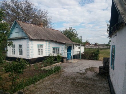 Продается дом в с. Пичугино - Кривой Рог,  с  летней  кухней ,  бассейном,  погр. . фото 2