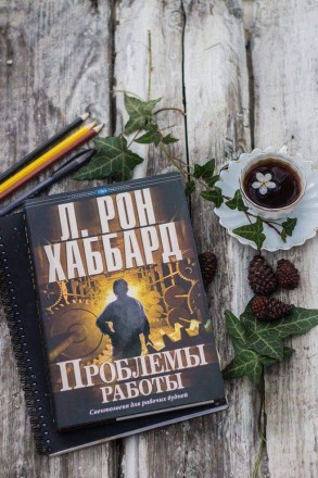 Книга "Проблемы работы". Кременчуг. фото 1 Книга "Проблемы работы". Кременчуг. фото 1