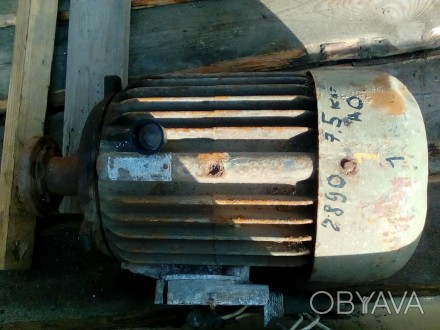 продам электродвигатели б/у СССР:
АО2-42-298    7,5кВт  2800 об.м.   №1   -7500. . фото 1