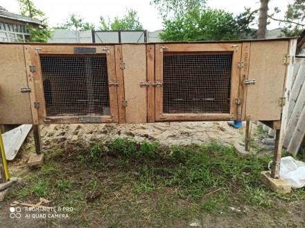 Продам клетки для кроликов. Харьков. фото 1 Продам клетки для кроликов. Харьков. фото 1