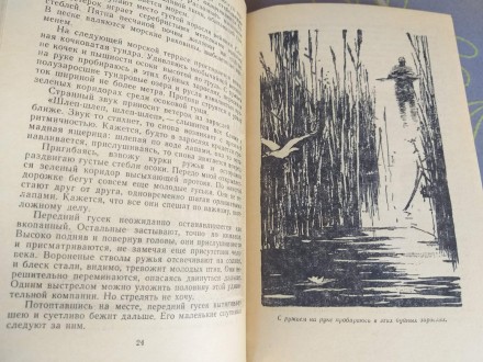 Состояние отличное все целое не читалась
М.: Детгиз, 1962 г.

Серия: Библиоте. . фото 5