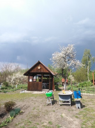 Срочно продается дом. Носовка. фото 1 Срочно продается дом. Носовка. фото 1