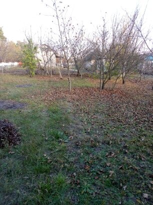 Продам дачу возле Южного Буга. Саврань. фото 11 Продается дача за г.Саврань в дачном поселке, есть небольшой участок земли с мол. Саврань. фото 11