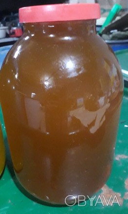 Мед гречаний (гречишно-цветочный)
