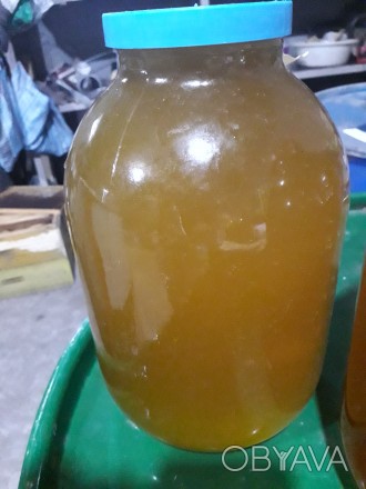 Мед різнотрав'я 160 грн/л. В наявності також є мед гречано-квітковий. Є так. . фото 1
