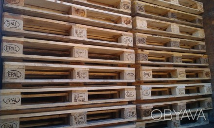 На постійній основі в місті Чернігові купуємо дерев'яні піддони європіддони. . фото 1