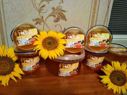 Продам натуральный, очень вкусный мед из  разнотравья и подсолнуха. Собственная . . фото 2