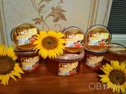 Продам натуральный, очень вкусный мед из  разнотравья и подсолнуха. Собственная . . фото 1