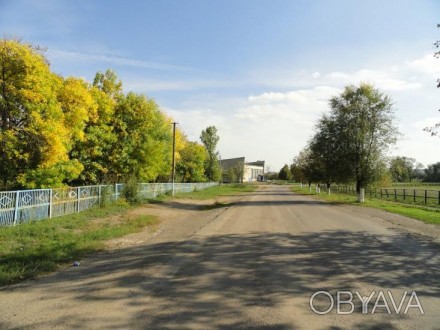 Продам земельный участок в с.Сурско-Михайловка