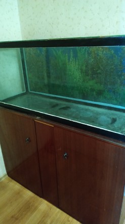 Продам аквариум 250 литров с тумбочкой
В хорошем состоянии
1200 грн
Самовывоз. . фото 3