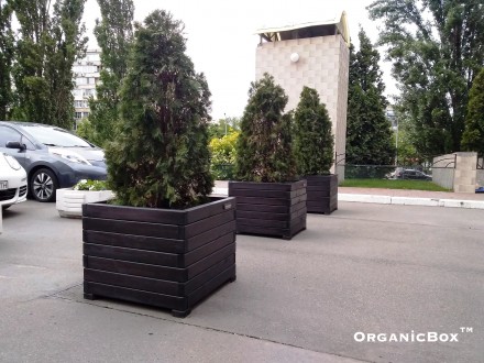 Контейнерное озеленение №1 в Украине из натуральной древесины.
Современные типы. . фото 10