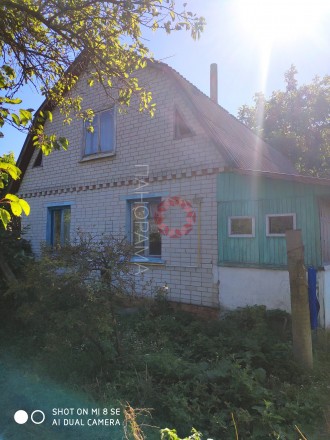 Хороший, добротный дом в селе Жавинка, 7 км от Чернигова, в нескольких метрах хо. Жавинка. фото 3