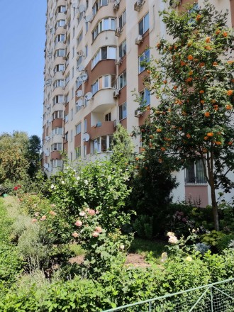 Радужный 1- самое начало массива , отличный ухоженный двор, много зелени. 
Квар. Киевский. фото 9
