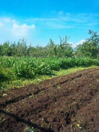 Вспашка, перекопка, культивация огородов в Мариуполе. Возможен выезд за территор. . фото 4