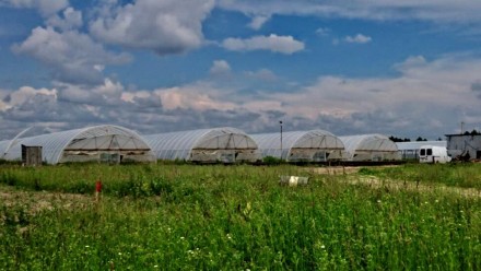 Продам тепличное хозяйство. Киев. фото 1 Продам тепличное хозяйство. Киев. фото 1