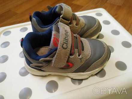 Кроссовки демисезонные Clibee