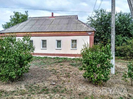 Продам дом - усадьбу в Петриковке