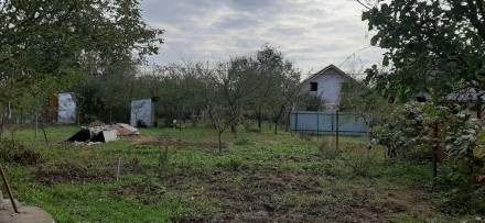 Продаж дачі в садовому товаристві Червона Рута 
-12 сот.землі 
-сад 
-город 
-жи. . фото 7