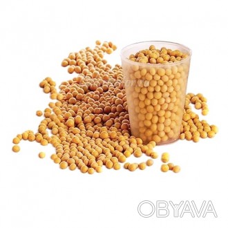 Купим бобовые: сою