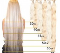 длинна волос от
40см -2000грн за 100 грамм, 
45 см - 4000 грн. за 100 грамм,
. . фото 2