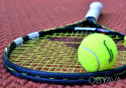 Профессиональные тренировки по теннису для детей и взрослых, любителей и начинаю. . фото 1