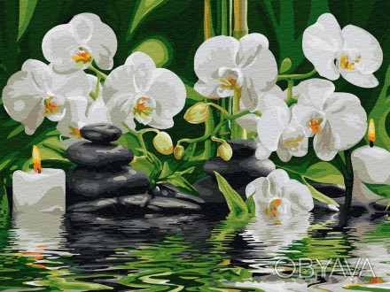 Картина по номерам "Спокойствие орхидей" Сложность: 1
В наборе есть все необходи. . фото 1