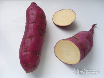 Батат, он же "сладкий картофель" - прекрасная альтернатива картошке. Т. . фото 1