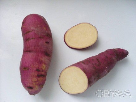 Батат, он же "сладкий картофель" - прекрасная альтернатива картошке. Т. . фото 1