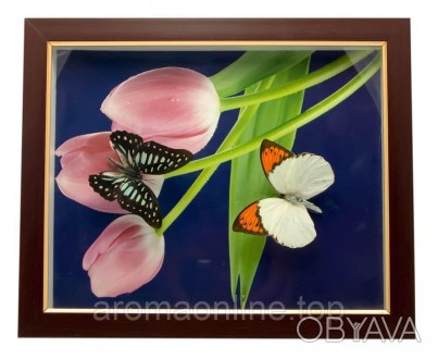 Бабочки в рамке (28х23х2,5 см). . фото 1