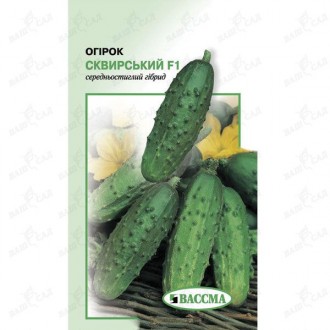 Огурец Сквирский F1 0.5г. Одеса. фото 1 Огурец Сквирский F1 0.5г. Одеса. фото 1