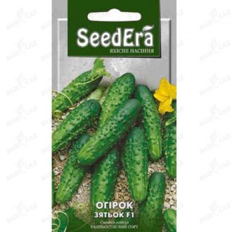 Огурец Зятек F1 SeedEra 10 шт. Одеса. фото 1 Огурец Зятек F1 SeedEra 10 шт. Одеса. фото 1