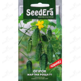 Огурец Марьина роща F1 SeedEra 10 шт. Одеса. фото 1 Огурец Марьина роща F1 SeedEra 10 шт. Одеса. фото 1