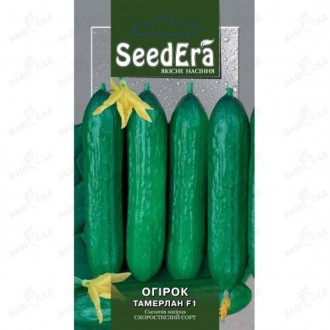 Огурец Тамерлан F1 Seedera 10 шт. Одеса. фото 1 Огурец Тамерлан F1 Seedera 10 шт. Одеса. фото 1