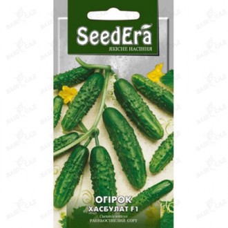 Огурец Хасбулат F1 Seedera 10 шт. Одеса. фото 1 Огурец Хасбулат F1 Seedera 10 шт. Одеса. фото 1