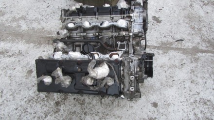 Двигатель VK45DE Infiniti FX45 S50 4.5
оригинальные номера 10102cl7aa 10102cl7a. . фото 6