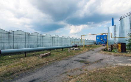 Фото тепличного комплекса в хорошем качестве