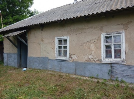 Продаю дом в Черниговской области,Бобровицкий район
Живописное село Браница
95. Браница. фото 2