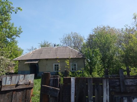 Продаю дом в Черниговской области,Бобровицкий район
Живописное село Браница
95. Браница. фото 4