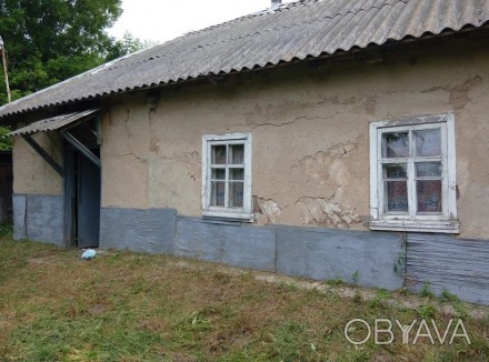 Продаю дом в Черниговской области,Бобровицкий район
Живописное село Браница
95. Браница. фото 1