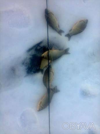 Сеть рыболовная косынка для зимней рыбалки не оснащенная