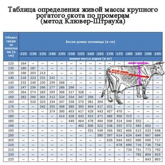 Падеж,Дорез,Коровы,быки,молодняк. Харків. фото 1 Падеж,Дорез,Коровы,быки,молодняк. Харків. фото 1
