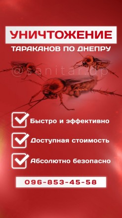 Наш сайт: www.sanitar.dp.ua

Опыт работы более 7лет.
Профессиональное уничтож. . фото 2