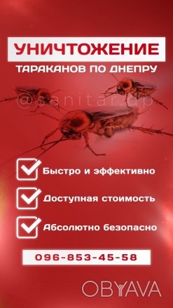 Наш сайт: www.sanitar.dp.ua

Опыт работы более 7лет.
Профессиональное уничтож. . фото 1