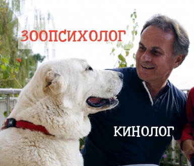 Дрессировка собак. Только Онлайн. Зоопсихолог. Кинолог. Коррекция поведения. Київ. фото 1 Дрессировка собак. Только Онлайн. Зоопсихолог. Кинолог. Коррекция поведения. Київ. фото 1