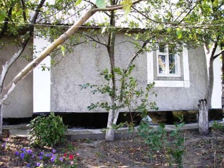 Продаємо земельну ділянку  8,5 соток і будинок, біля села Мазепинці (Київська об. . фото 2