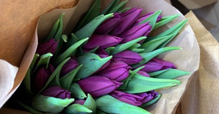 Купить тюльпаны на 8 марта оптом с Голландии.
Высота 40-50 см, вес 28+гр.
Дост. . фото 7