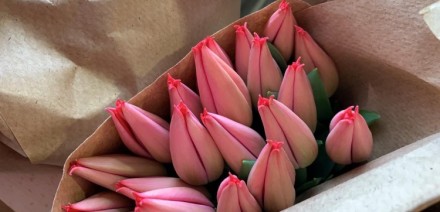 Купить тюльпаны на 8 марта оптом с Голландии.
Высота 40-50 см, вес 28+гр.
Дост. . фото 5
